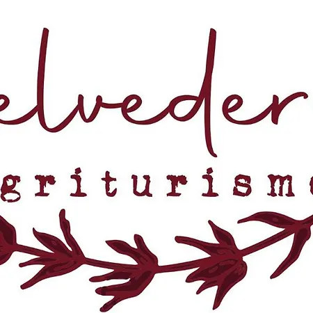 Belvedere 9