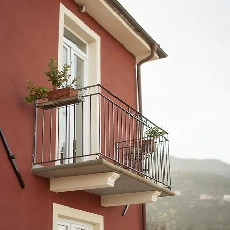 Belvedere 9 *